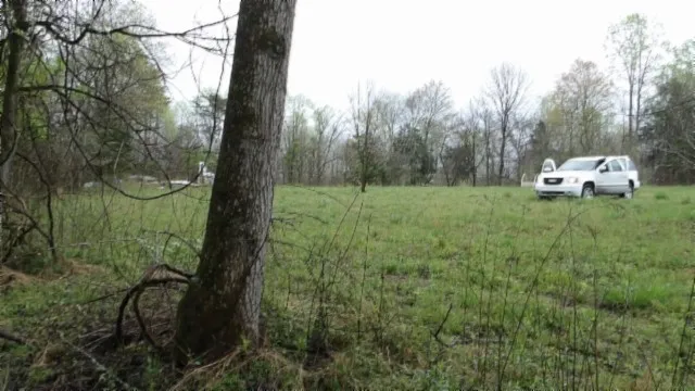 a view of a field with a tree in a yard