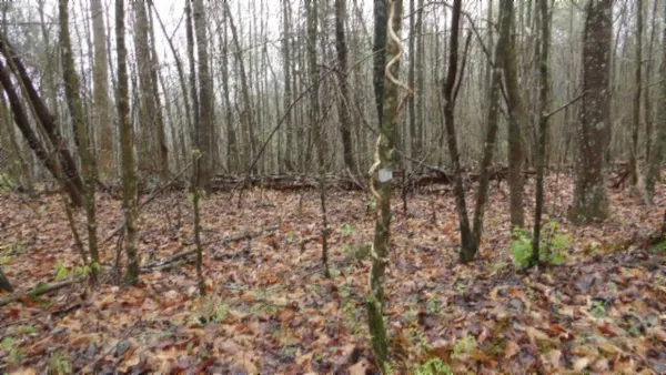 $119,000 | 0 Denton Road, Moss, TN 38575