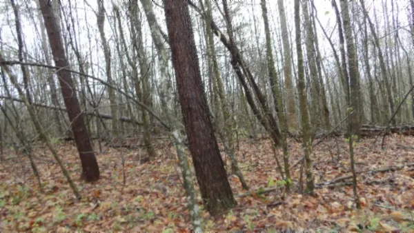 $119,000 | 0 Denton Road, Moss, TN 38575