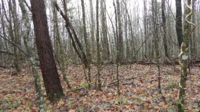 $119,000 | 0 Denton Road, Moss, TN 38575