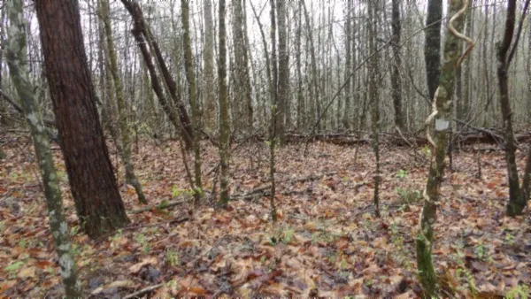 $119,000 | 0 Denton Road, Moss, TN 38575