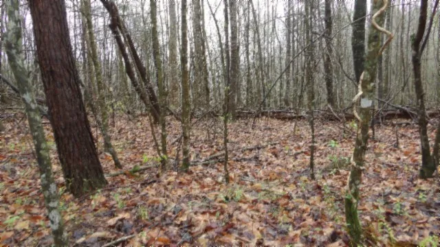 $119,000 | 0 Denton Road, Moss, TN 38575