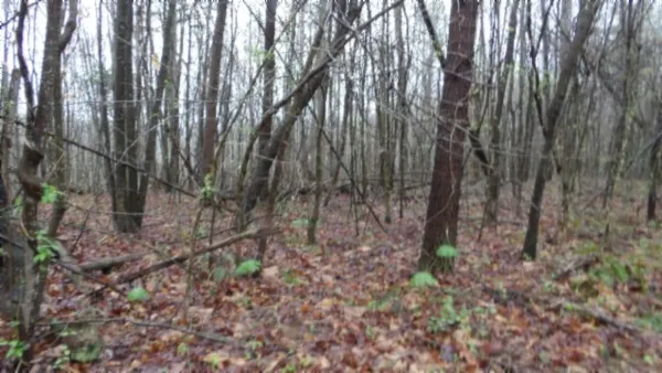 $119,000 | 0 Denton Road, Moss, TN 38575