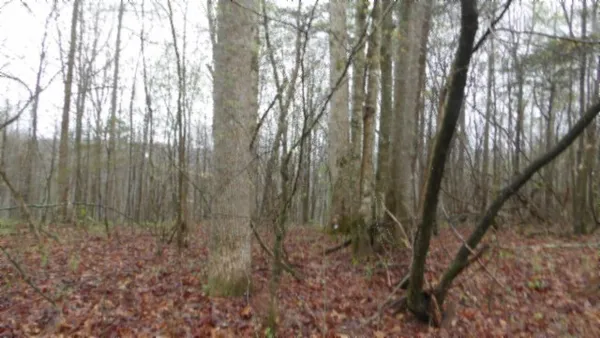 $119,000 | 0 Denton Road, Moss, TN 38575