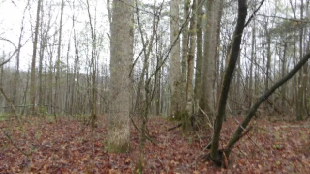 $119,000 | 0 Denton Road, Moss, TN 38575