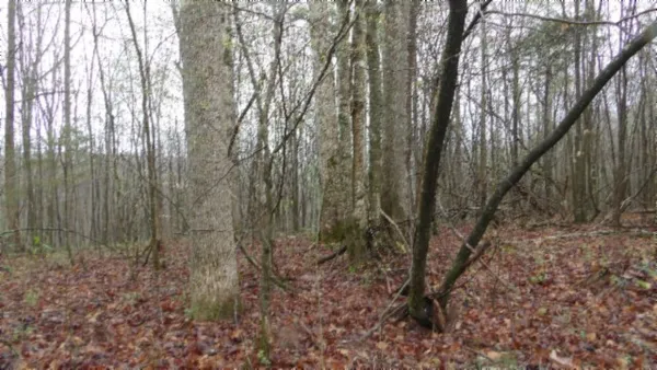 $119,000 | 0 Denton Road, Moss, TN 38575