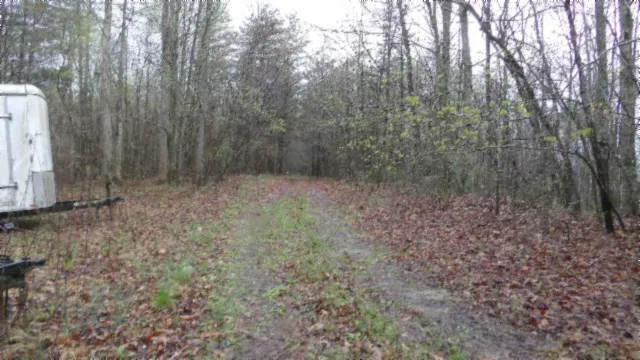 $119,000 | 0 Denton Road, Moss, TN 38575