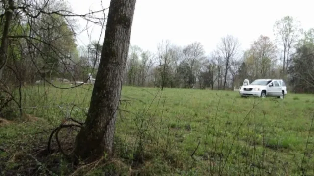 a view of a field with some trees