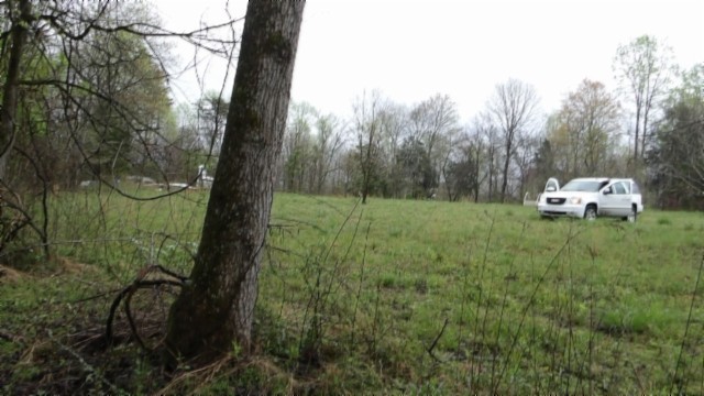 0 Denton Road Moss, TN 38575 - Photo 6 of 80 a view of a field with some trees
