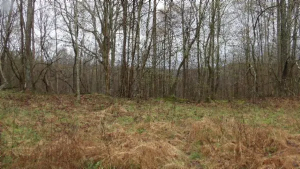 $119,000 | 0 Denton Road, Moss, TN 38575