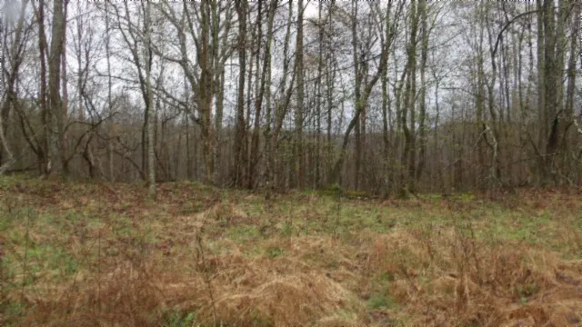 $119,000 | 0 Denton Road, Moss, TN 38575