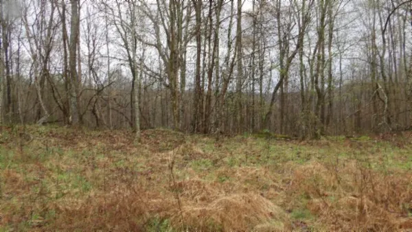$119,000 | 0 Denton Road, Moss, TN 38575