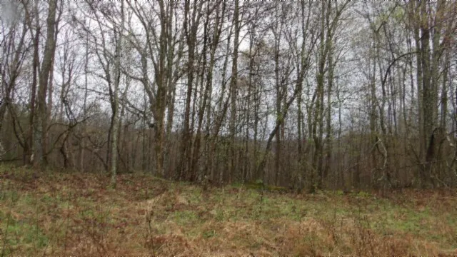 $119,000 | 0 Denton Road, Moss, TN 38575