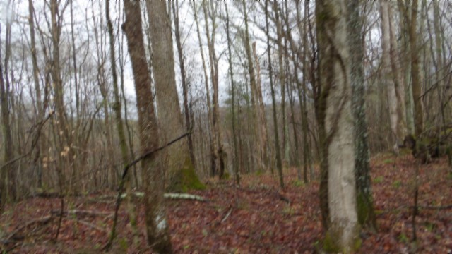 0 Denton Road Moss, TN 38575 - Photo 64 of 80