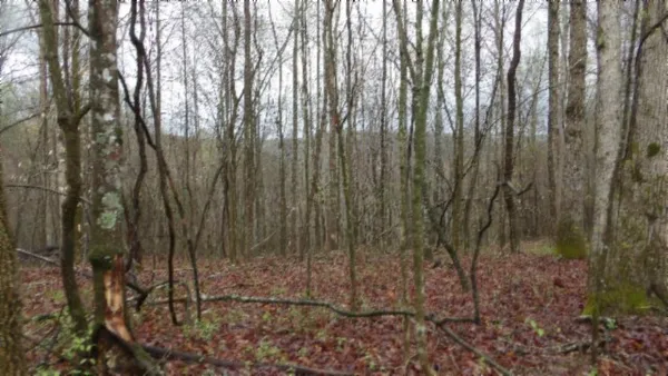 $119,000 | 0 Denton Road, Moss, TN 38575