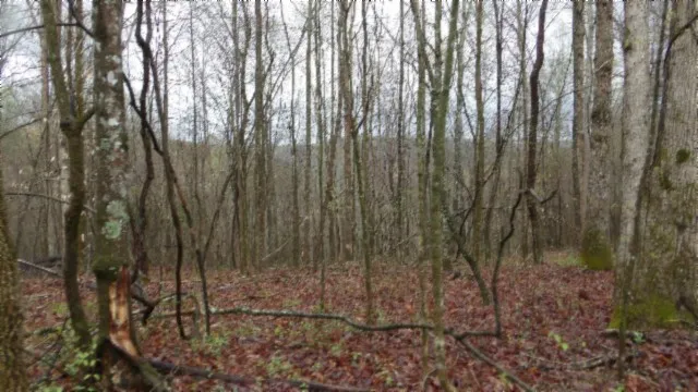 $119,000 | 0 Denton Road, Moss, TN 38575