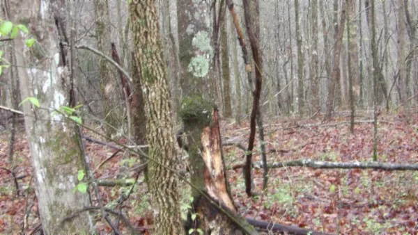 $119,000 | 0 Denton Road, Moss, TN 38575