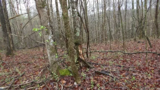 $119,000 | 0 Denton Road, Moss, TN 38575