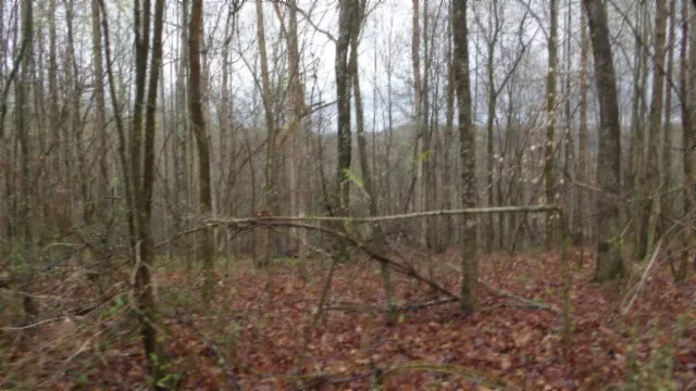 $119,000 | 0 Denton Road, Moss, TN 38575