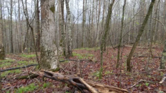 $119,000 | 0 Denton Road, Moss, TN 38575