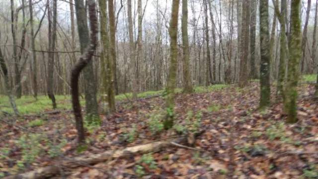 $119,000 | 0 Denton Road, Moss, TN 38575