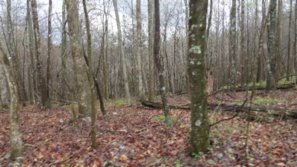 $119,000 | 0 Denton Road, Moss, TN 38575