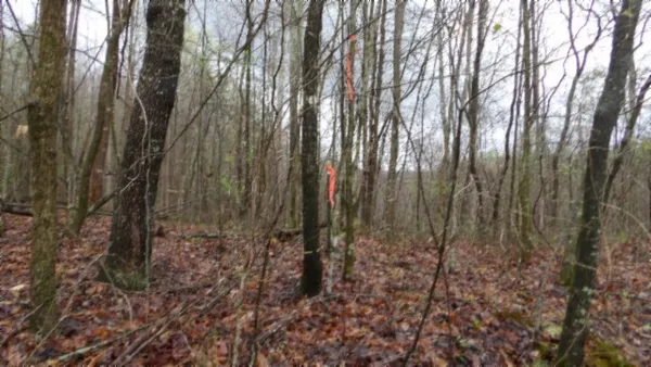 $119,000 | 0 Denton Road, Moss, TN 38575
