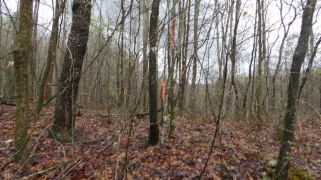 $119,000 | 0 Denton Road, Moss, TN 38575