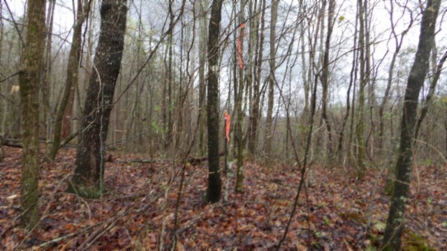 0 Denton Road Moss, TN 38575 - Photo 75 of 80