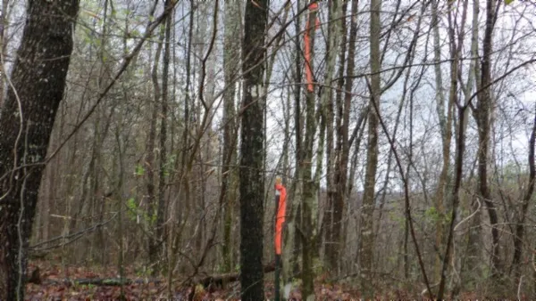 $119,000 | 0 Denton Road, Moss, TN 38575