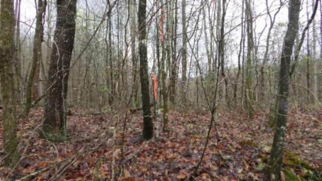 $119,000 | 0 Denton Road, Moss, TN 38575