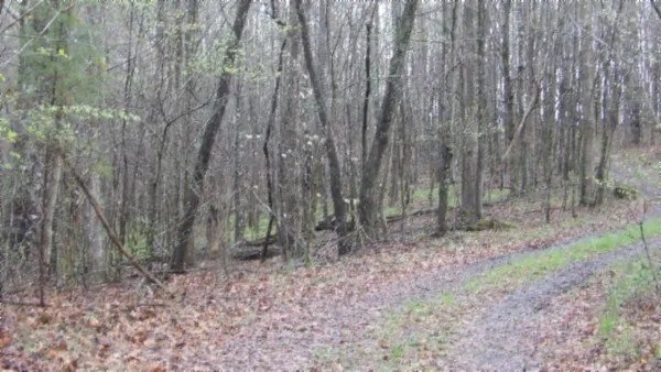 $119,000 | 0 Denton Road, Moss, TN 38575