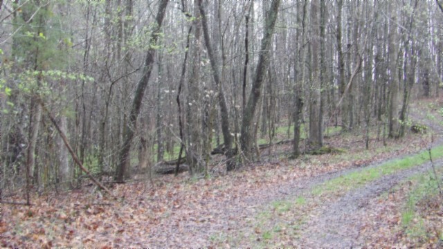 0 Denton Road Moss, TN 38575 - Photo 78 of 80