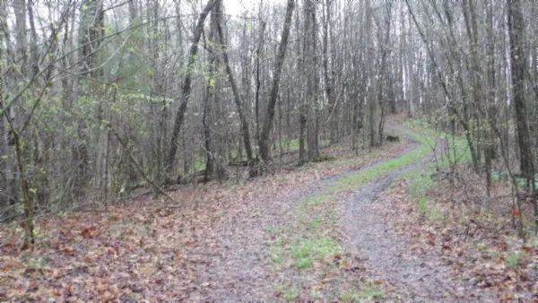 $119,000 | 0 Denton Road, Moss, TN 38575