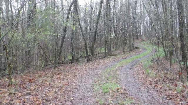 $119,000 | 0 Denton Road, Moss, TN 38575