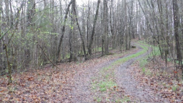 0 Denton Road Moss, TN 38575 - Photo 79 of 80 a view of a yard with lots of green space