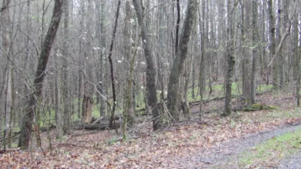 $119,000 | 0 Denton Road, Moss, TN 38575