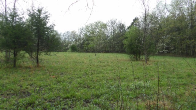 0 Denton Road Moss, TN 38575 - Photo 10 of 80
