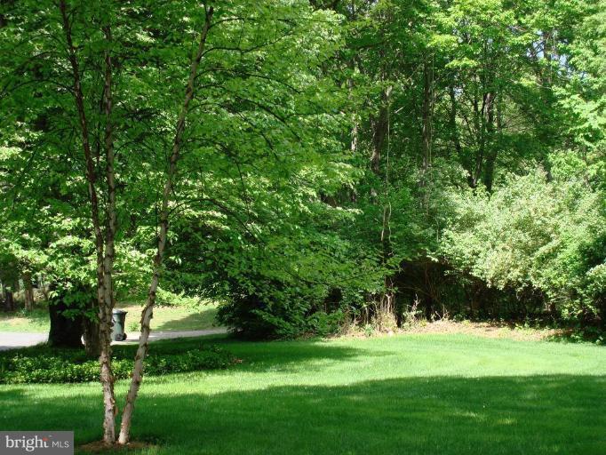 10240 Dunfries Road Vienna, VA 22181 - Photo 27 of 28 Wooded View / Acreage