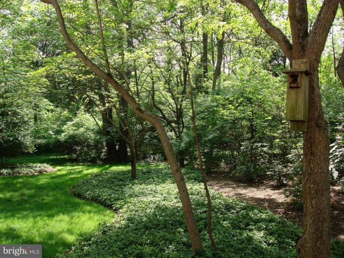 10240 Dunfries Road Vienna, VA 22181 - Photo 28 of 28 Wooded View / Acreage 2