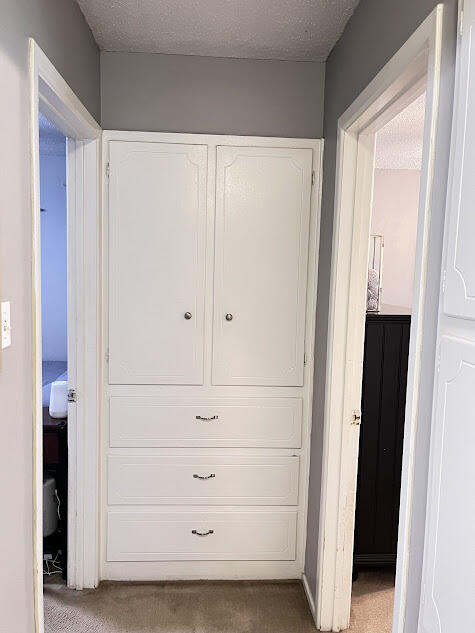 4813 53rd Street Lubbock, TX 79414 - Photo 12 of 21 4813 Hallway storage