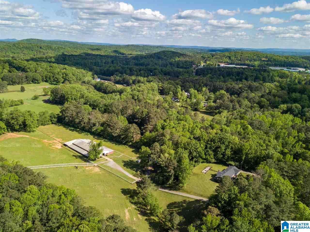 7023 Self Road Pinson, AL 35126 - Photo 6 of 36