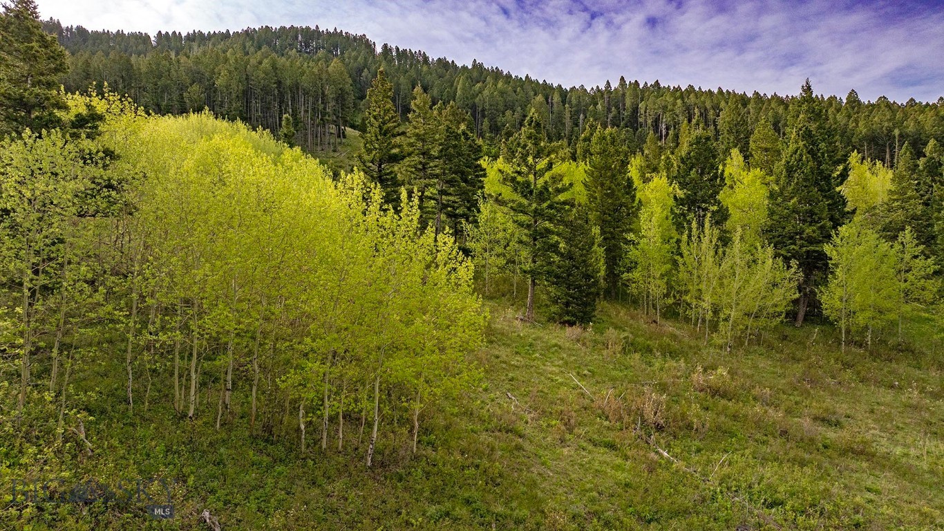 Tbd Petterson Road Wilsall, MT 59086 - Photo 23 of 27 Gallery Image 23