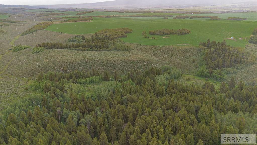 Tbd Tbd Long Hollow Road Tetonia, ID 83452 - Photo 14 of 25