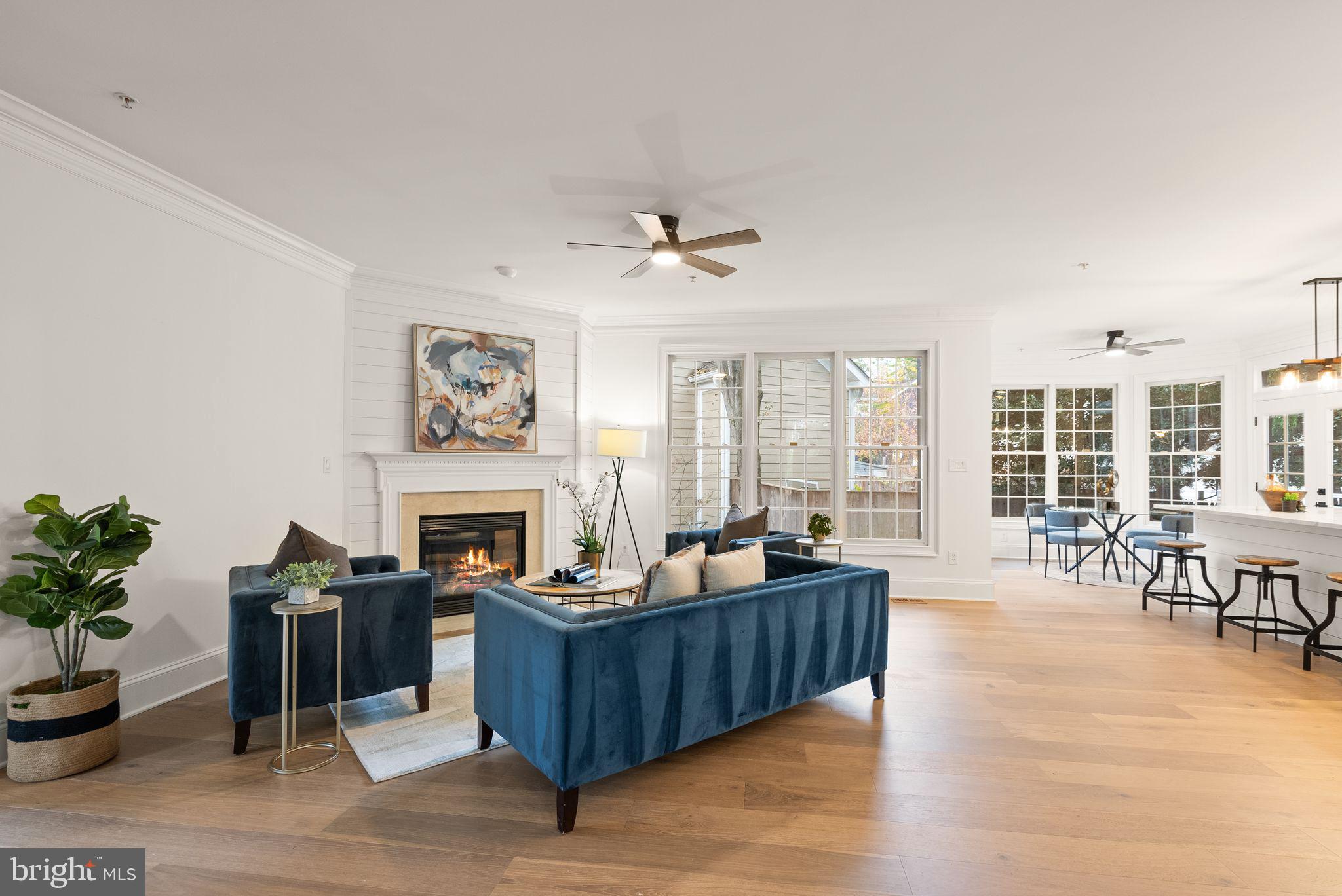 3336 Jones Bridge Court Chevy Chase, MD 20815 - Photo 21 of 99 a living room with furniture fireplace and potted plant