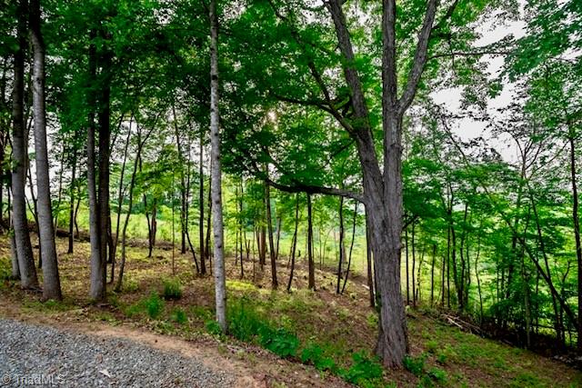 1779 Mountain View Road King, NC 27021 - Photo 33 of 38