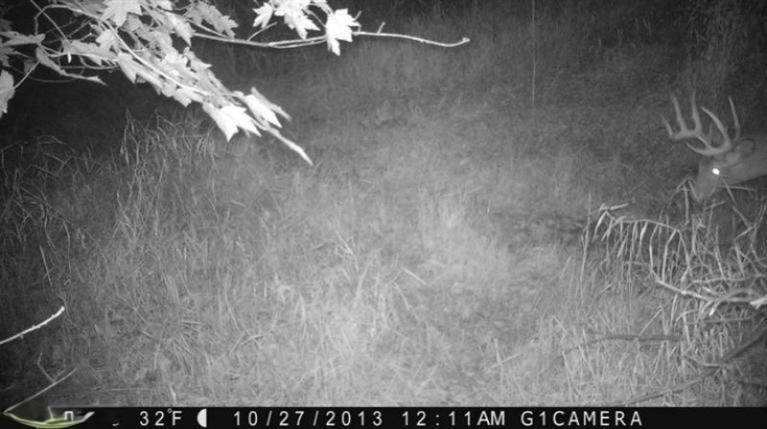 5000 13 Mile Road Marshall, MI 49068 - Photo 4 of 6 Additional Photo
