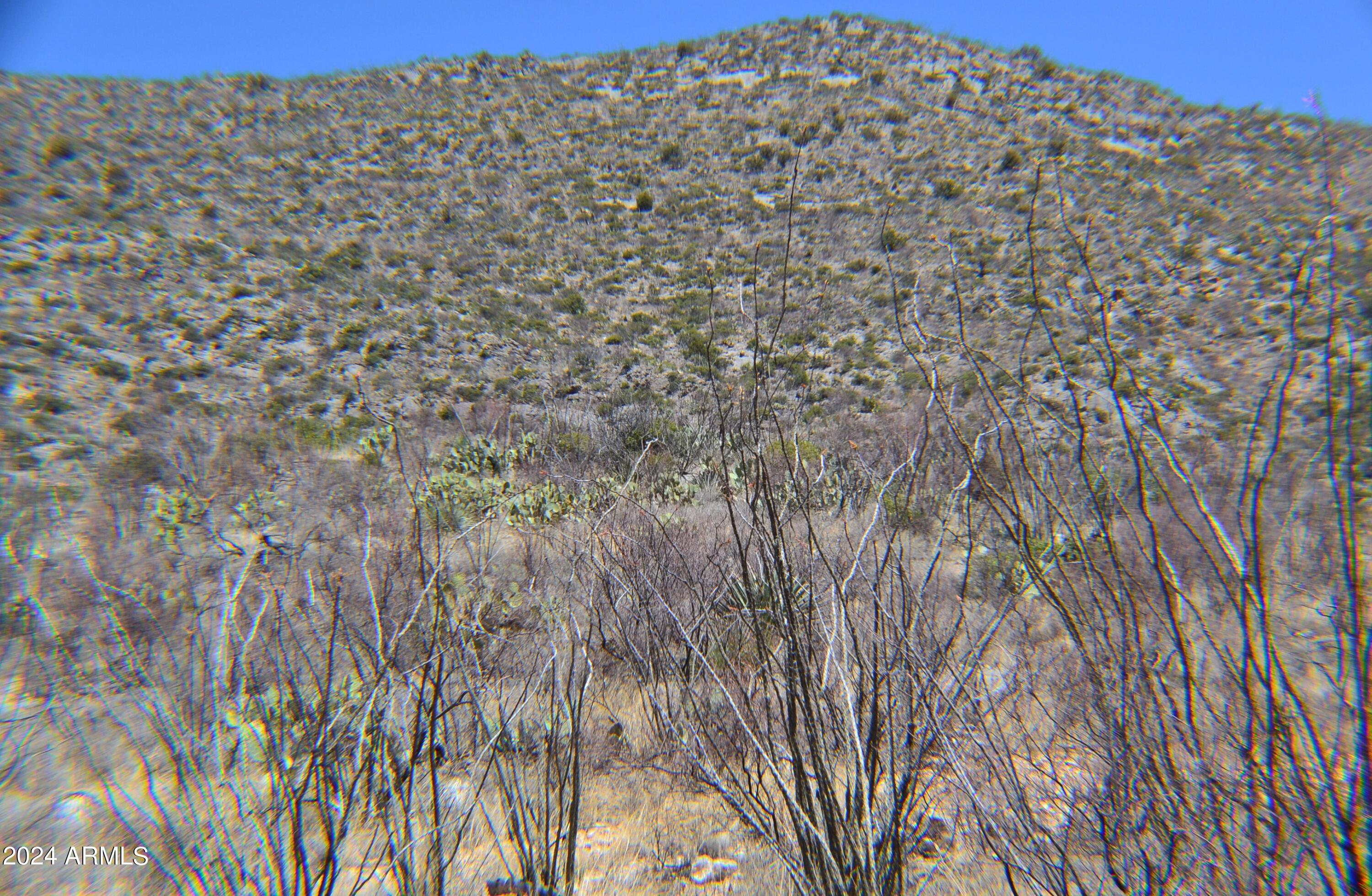 Tbd South Limestone Road, Unit 13W & 013V San Simon, AZ 85632 - Photo 13 of 20 DSC_1104