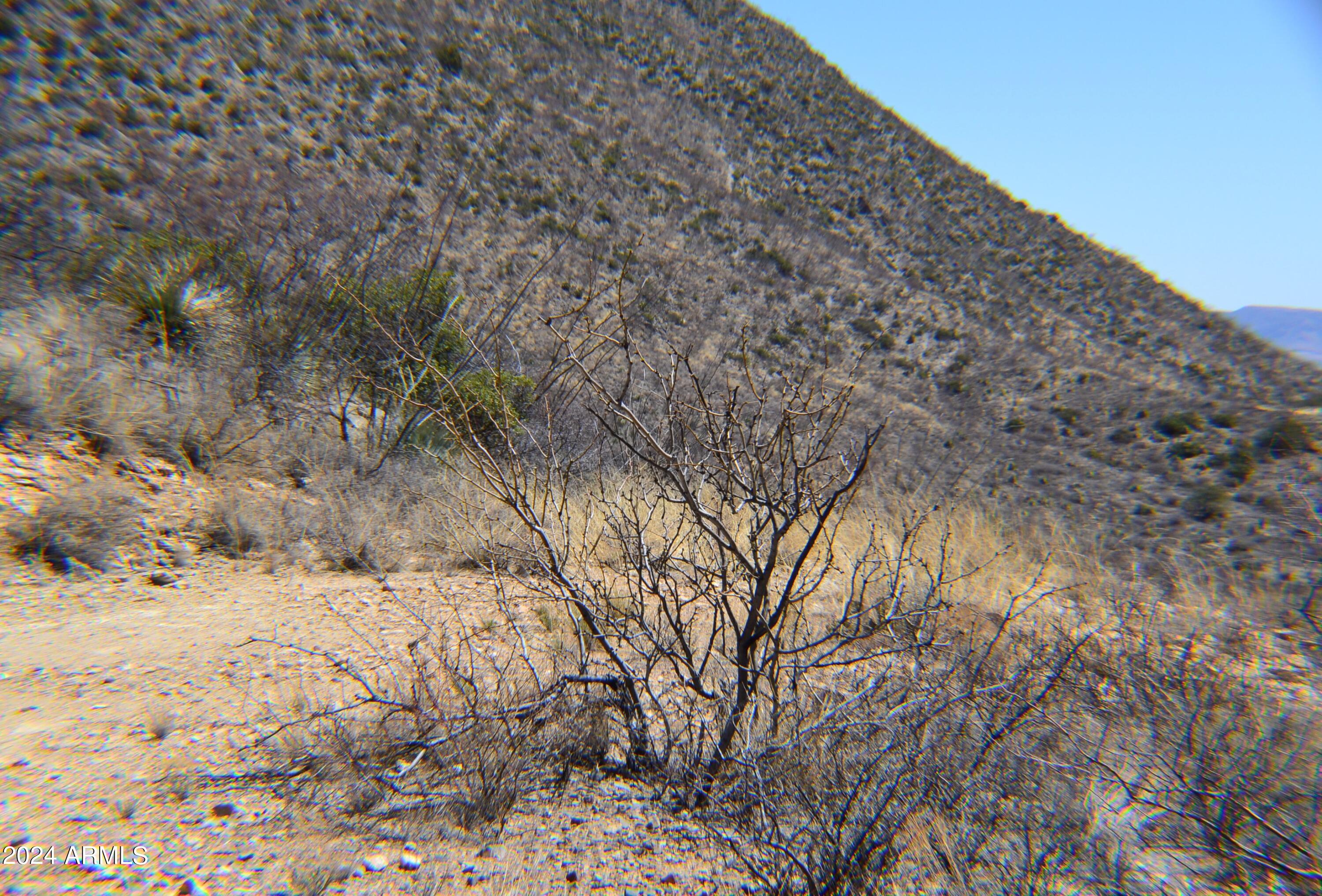 Tbd South Limestone Road, Unit 13W & 013V San Simon, AZ 85632 - Photo 16 of 20 DSC_1108