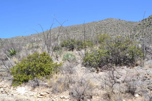 $92,900 | Tbd South Limestone Road, Unit 13W & 013V, San Simon, AZ 85632